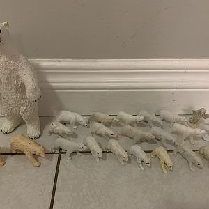 25 Polar Bears