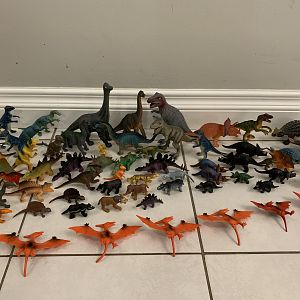 65 Dinosaurs