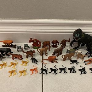 35 Assorted Primates