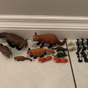 21 Meerkats + Red Pandas + Raccoons + Skunks