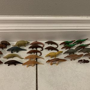 27 Armadillos + Pangolins + Giant Anteaters
