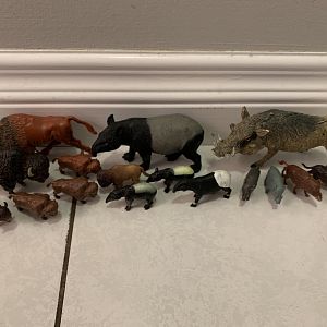 16 American Bison + Malayan Tapirs + Pigs