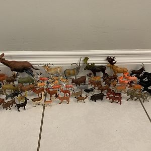 63 Assorted Hoofstock