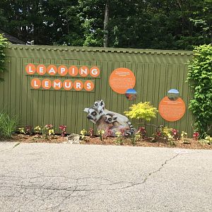 Signage for the Ring-Tailed Lemur oudoor exhibit