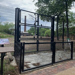 Giraffe training wall