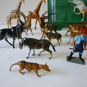 A mixture of 'Starlux'