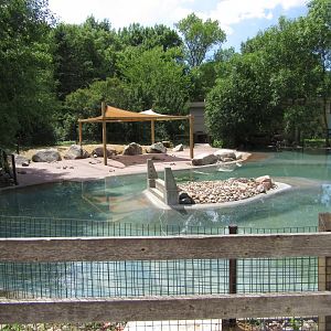 Outdoor Penguin Exhibit Renovation