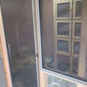 Indoor Rabbit Enclosure