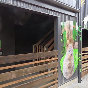 Indoor Goat Exhibit