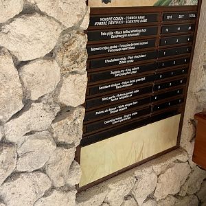 May 2019 - Bird hatching chart