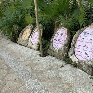 May 2019 - Aviary signage