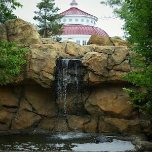 Jun. 2020 - Reptile House + Galapagos Tortoise Exhibit