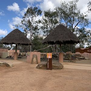 Meerkat Exhibit