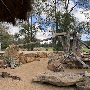 Meerkat Exhibit