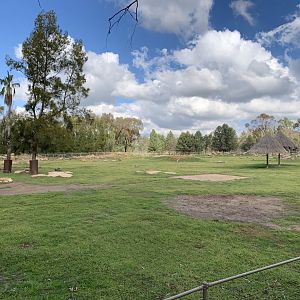 Black Rhino Paddock