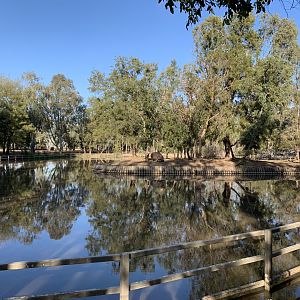Hippo Exhibit