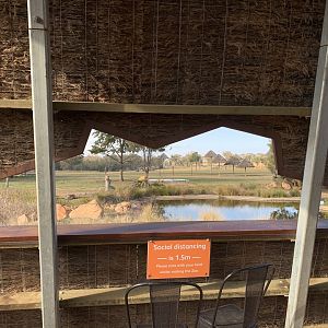 Savannah Viewing Hide