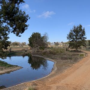 View of Zoofari Lodge