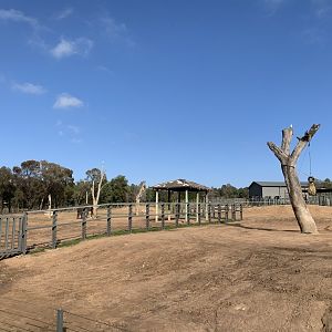 Asian Elephant Paddocks
