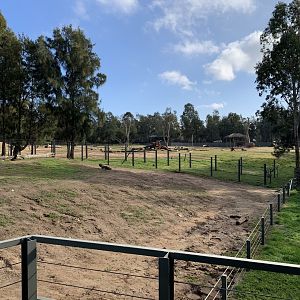 Asian Elephant Paddocks
