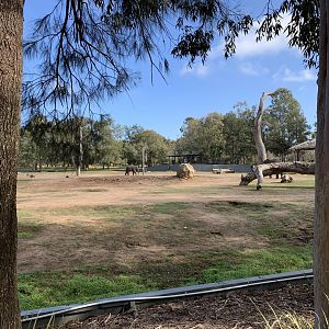Asian Elephant Exhibit