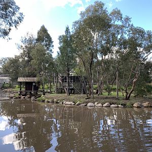 White-handed Gibbon Island
