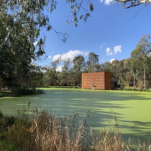 Siamang Night Quarters