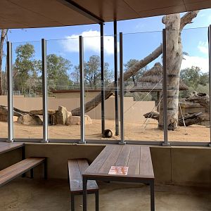 Cafe Seating- Meerkat Exhibit