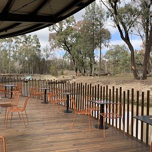 Cafe Seating- Barbary Sheep Exhibit