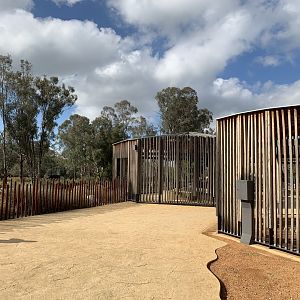 Lion Pride Lands Shelters