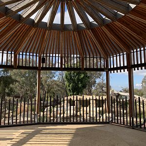 Lion Pride Lands Viewing Shelter