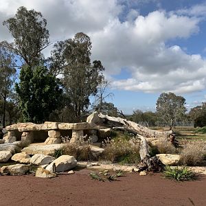 Lion Pride Lands Exhibit