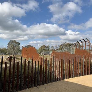 Lion Pride Lands Artwork