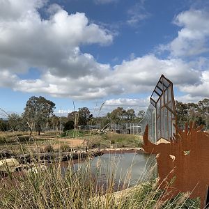 Lion Pride Lands Exhibit