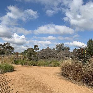 Lion Pride Lands Visitor Area