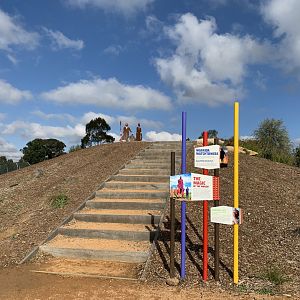 Lion Pride Lands Watchtower