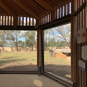 Lion Pride Lands Viewing Area