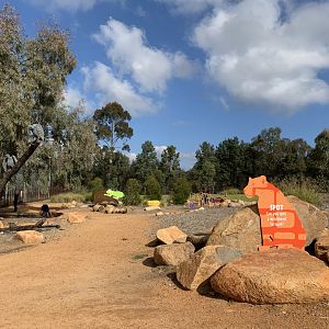 Lion Pride Lands- Play Area