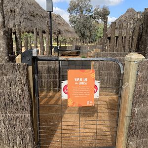 Lion Pride Lands- Goat Kraal Closed