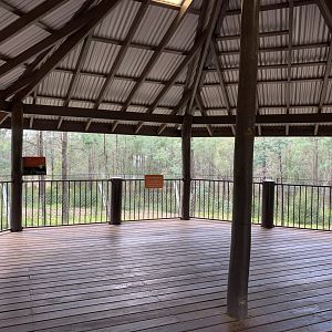 Cheetah Viewing Platform