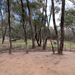 Galapagos Tortoise Exhibit