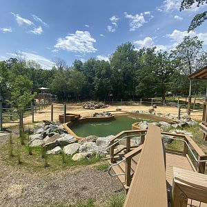 African Elephant Center Yard
