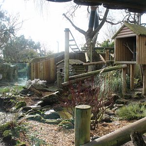 Red Panda enclosure