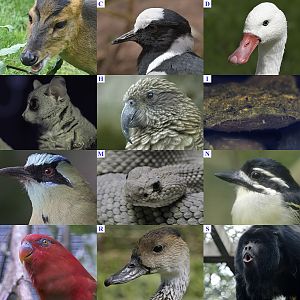 July 1st Unlocking-lockdown Puzzle