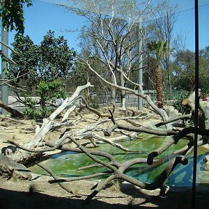 Jaguar exhibit
