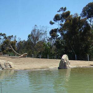 Elephant exhibit panorama