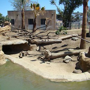 Mixed species exhibit