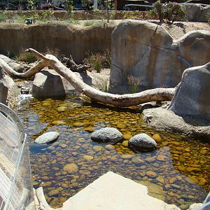Streamside exhibit