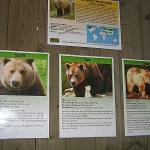 Dartmoor Zoo June 2009