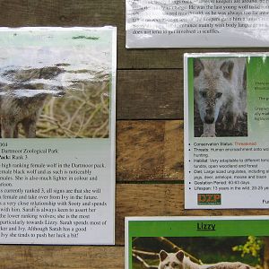 Dartmoor Zoo June 2009